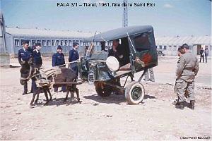196- ARMEE DE L'AIR EN ALGERIE 1945-1962-44 (74)